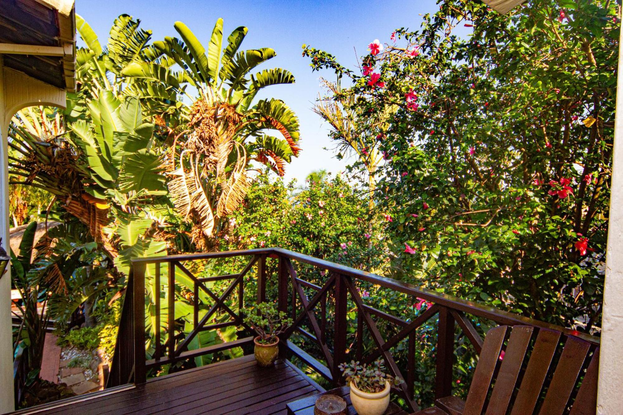 La Loggia Bed&Breakfast Durban Esterno foto