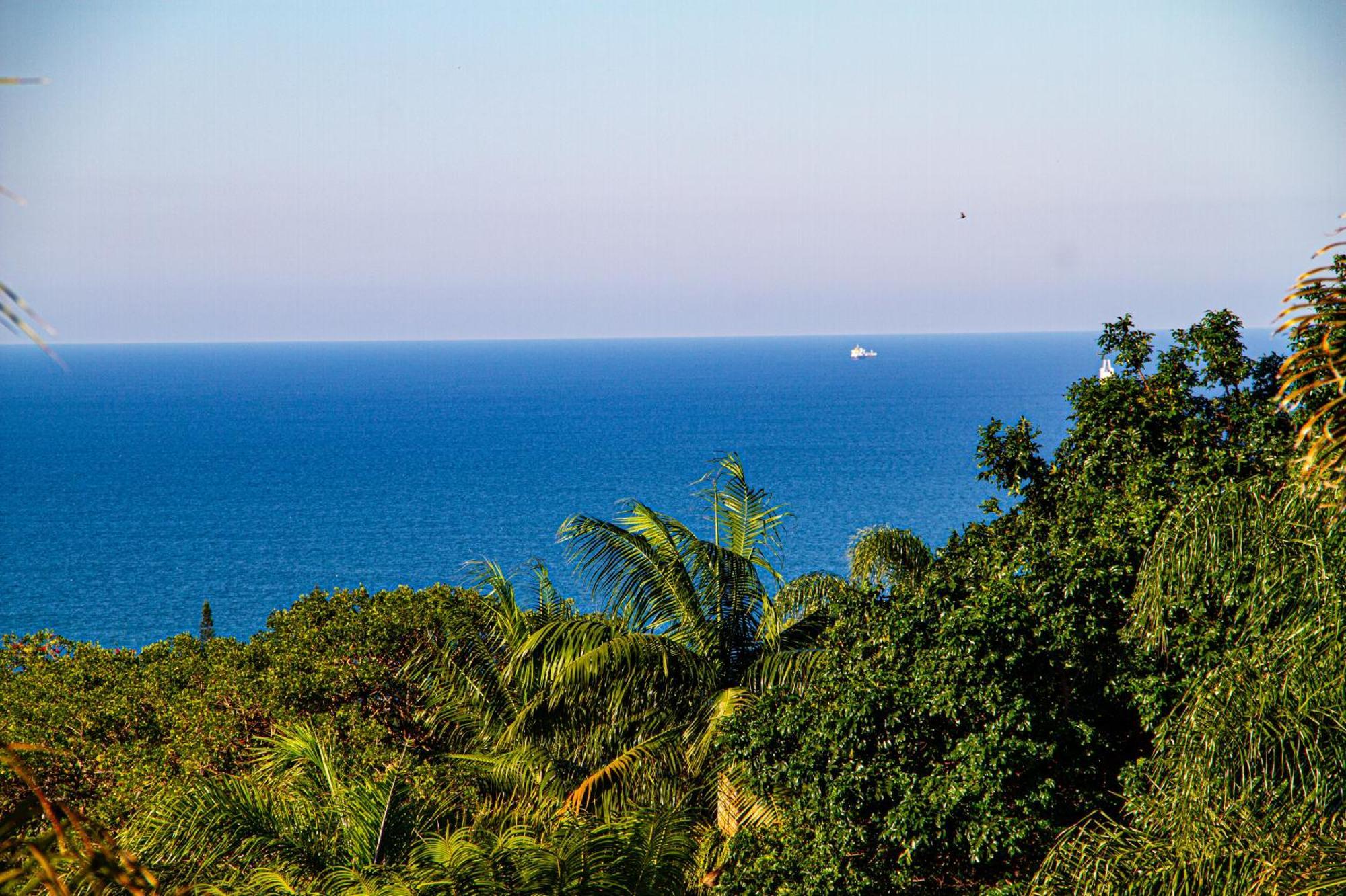 La Loggia Bed&Breakfast Durban Esterno foto